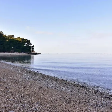 Apartament Albina B4 By Interhome *